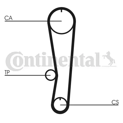 Timing Belt
